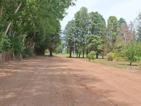 Terreno en Venta en Plottier, Confluencia