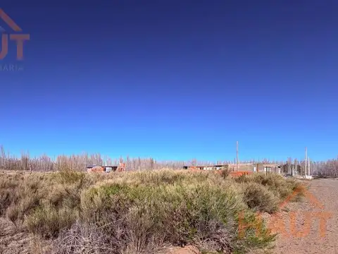 Terreno en Venta en Plottier, Confluencia
