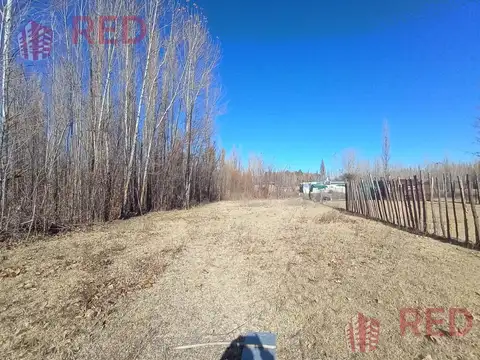 Terreno en Venta en Plottier, Confluencia