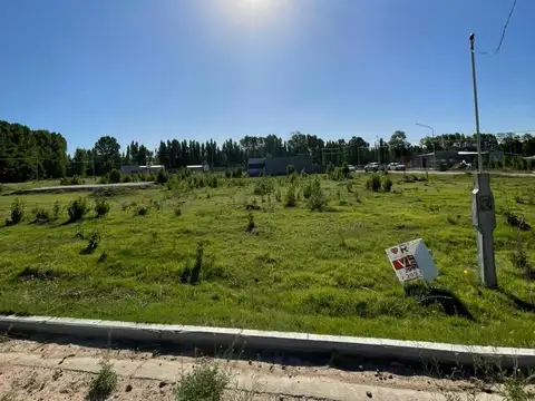 Terreno en Venta en Plottier, Confluencia