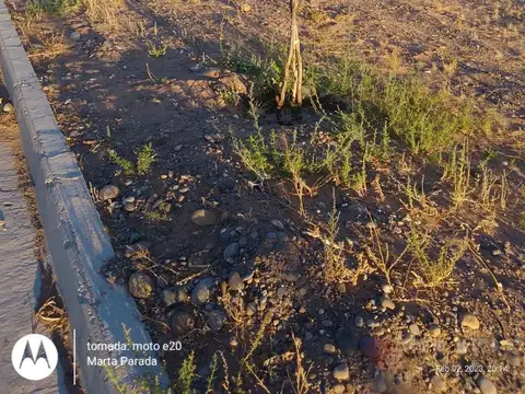 Terreno en Venta en Plottier, Confluencia