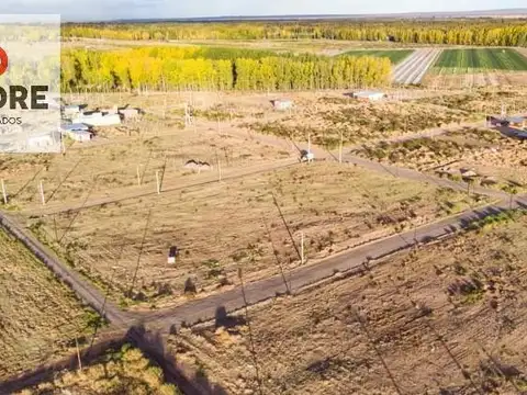 Terreno en Venta en Plottier, Confluencia