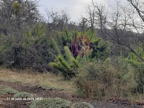Terreno en Venta en San Martin de los Andes, Lácar