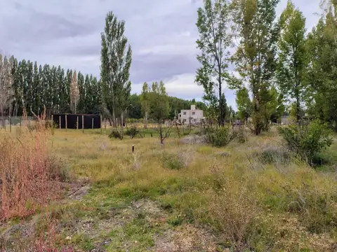 Terreno en Venta en Plottier, Confluencia