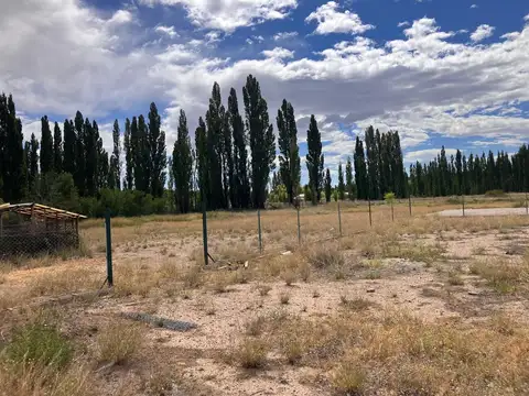 Terreno en Venta en Plottier, Confluencia