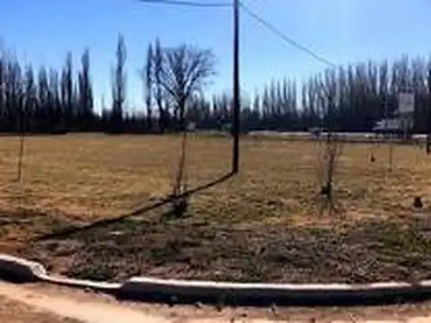 Terreno en Venta en Centenario, Confluencia