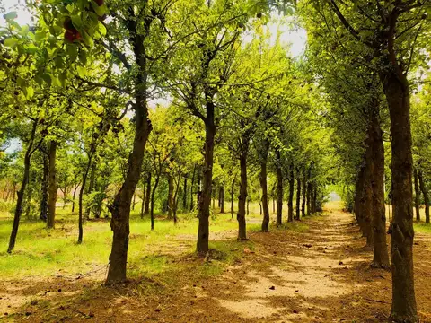 Terreno en Venta en Neuquen, Confluencia