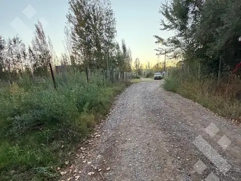 Terreno en Venta en Plottier, Confluencia