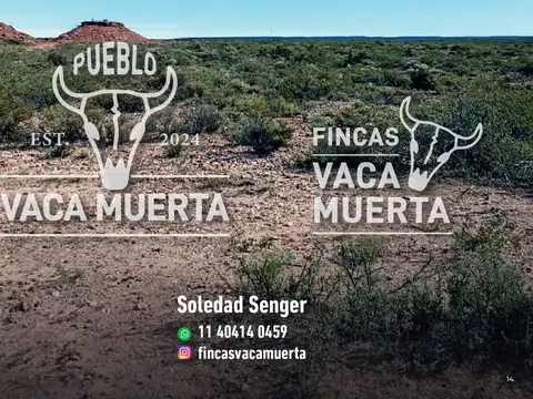 Terreno en Venta en Vaca Muerta, Picunches