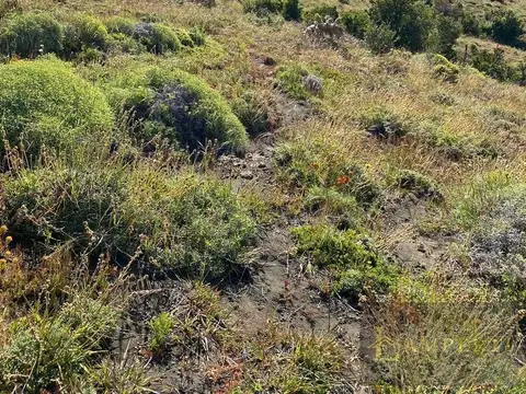 Terreno en Venta en Caleuche, San Martin de los Andes