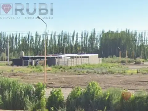 Terreno en Venta en Centenario, Confluencia