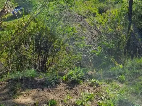 Terreno en Venta en San Martin de los Andes, Lácar