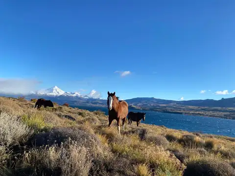 Terreno en Venta en Huechulafquen, Huiliches