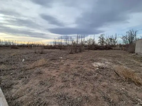 Terreno en Venta en Centenario, Confluencia