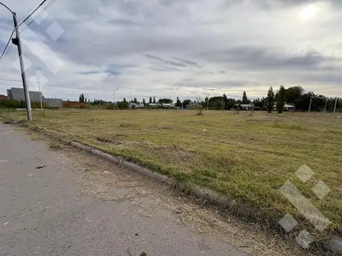 Terreno en Venta en Plottier, Confluencia