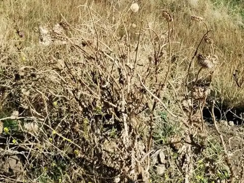 Terreno en Venta en San Martin de los Andes, Lácar