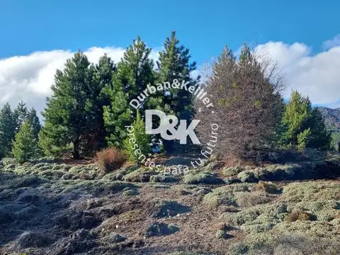 Terreno en Venta en Meliquina, Lácar