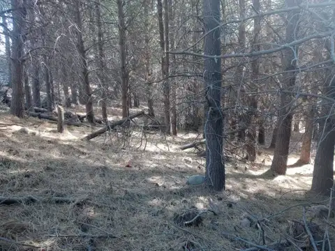 Terreno en Venta en San Martin de los Andes, Lácar