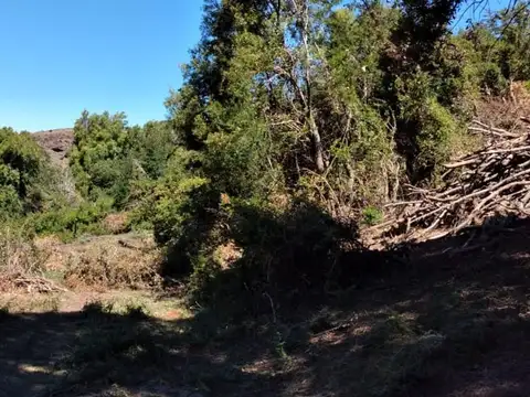 Terreno en Venta en San Martin de los Andes, Lácar