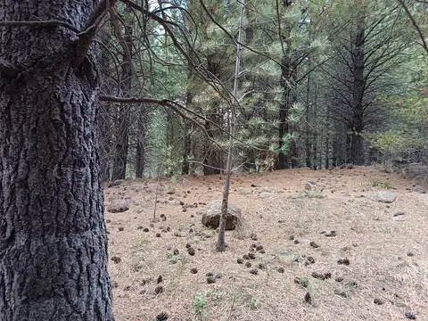 Terreno en Venta en San Martin de los Andes, Lácar