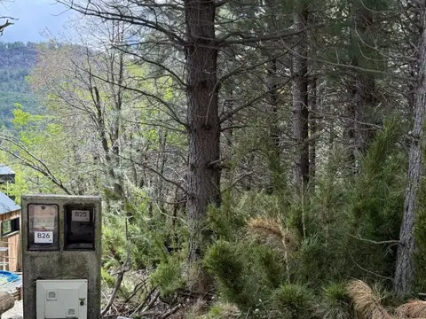 Terreno en Venta en San Martin de los Andes, Lácar