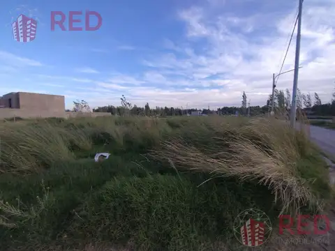 Terreno en Venta en Plottier, Confluencia