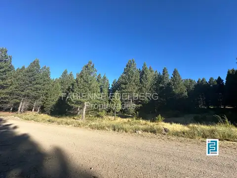 Terreno en Venta en San Martin de los Andes, Lácar