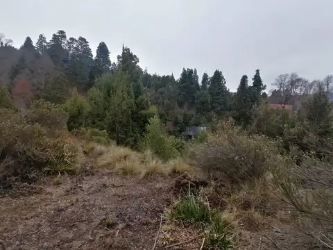 Terreno en Venta en Villa Vega San Martin, San Martin de los Andes