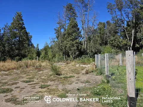 Terreno en Venta en Barrio Norte, Villa la Angostura