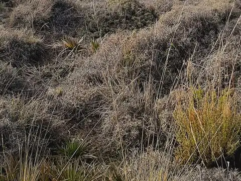 Terreno en Venta en Altos De Chapelco, San Martin de los Andes