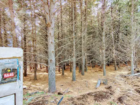 Terreno en Venta en San Martin de los Andes, Lácar