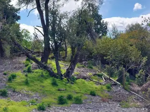 Terreno en Venta en Alihuen Alto, San Martin de los Andes