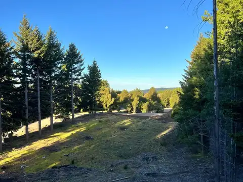 Terreno en Venta en San Martin de los Andes, Lácar