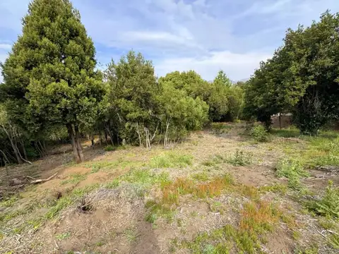 Terreno en Venta en San Martin de los Andes, Lácar