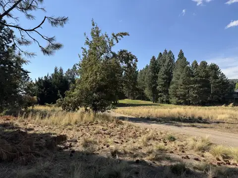 Terreno en Venta en Chapelco Golf & Resort, San Martin de los Andes