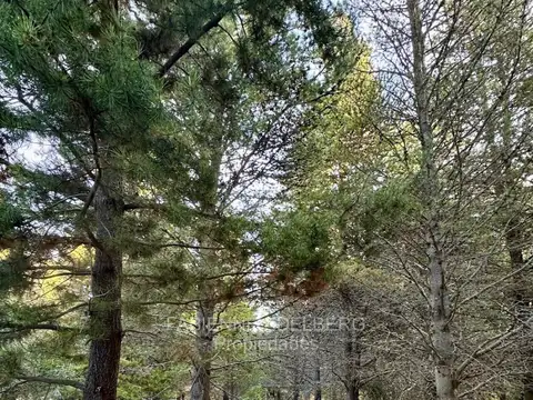 Terreno en Venta en San Martin de los Andes, Lácar