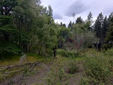 Terreno en Venta en San Martin de los Andes, Lácar