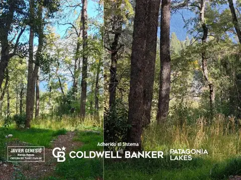 Terreno en Venta en San Martin de los Andes, Lácar