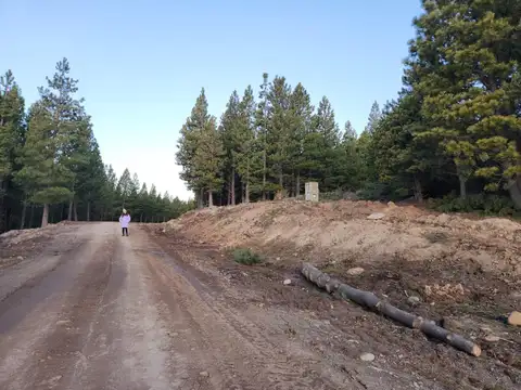 Terreno en Venta en San Martin de los Andes, Lácar