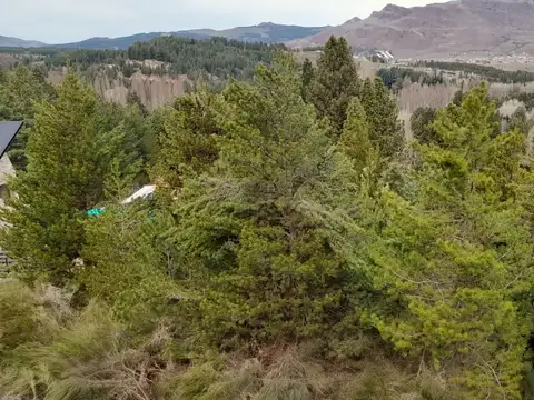 Terreno en Venta en San Martin de los Andes, Lácar