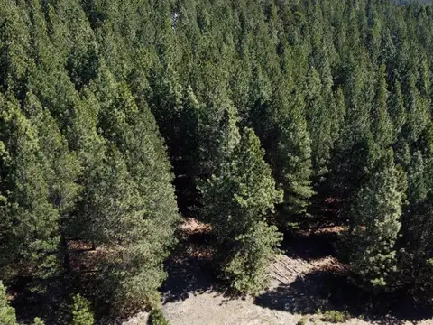 Terreno en Venta en El Remanso, San Martin de los Andes