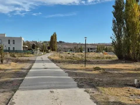 Terreno en Venta en Centenario, Confluencia