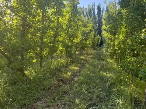 Terreno en Venta en Vista Alegre Sur, Confluencia