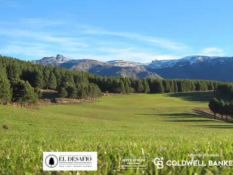 Terreno en Venta en San Martin de los Andes, Lácar