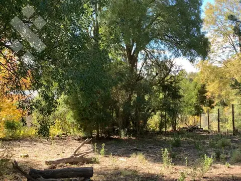 Terreno en Venta en San Martin de los Andes, Lácar