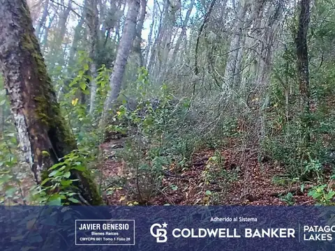 Terreno en Venta en San Martin de los Andes, Lácar