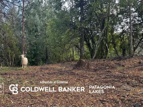 Terreno en Venta en Villa la Angostura, Los Lagos