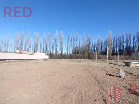 Terreno en Venta en Centenario, Confluencia