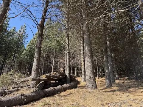 Terreno en Venta en Chapelco Golf & Resort, San Martin de los Andes