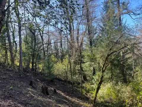 Terreno en Venta en Alihuen Alto, San Martin de los Andes